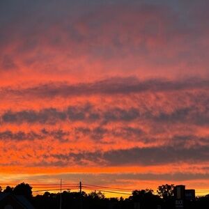 Meet your Posher, Oana